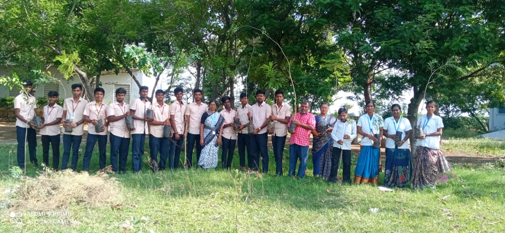 Tree Plantation