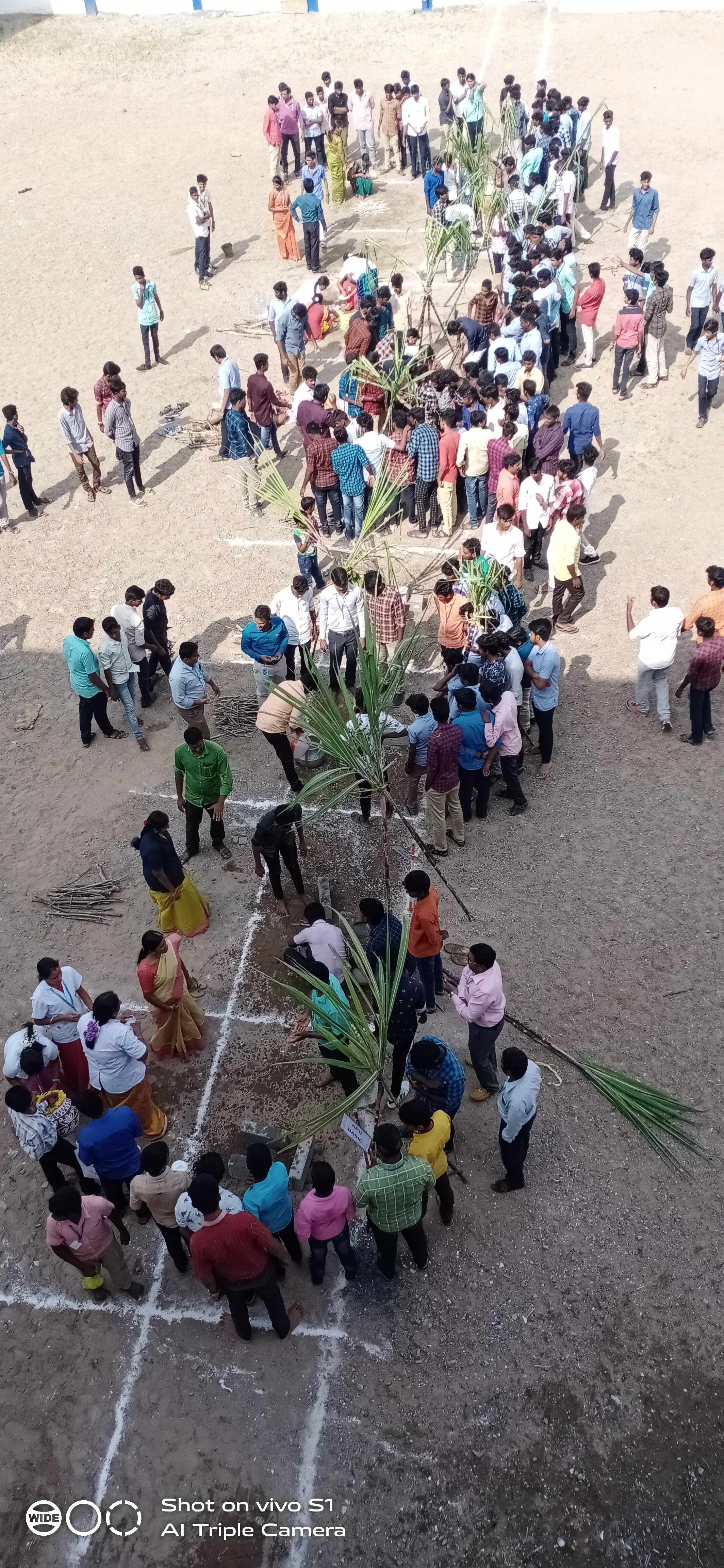 Pongal Celebration